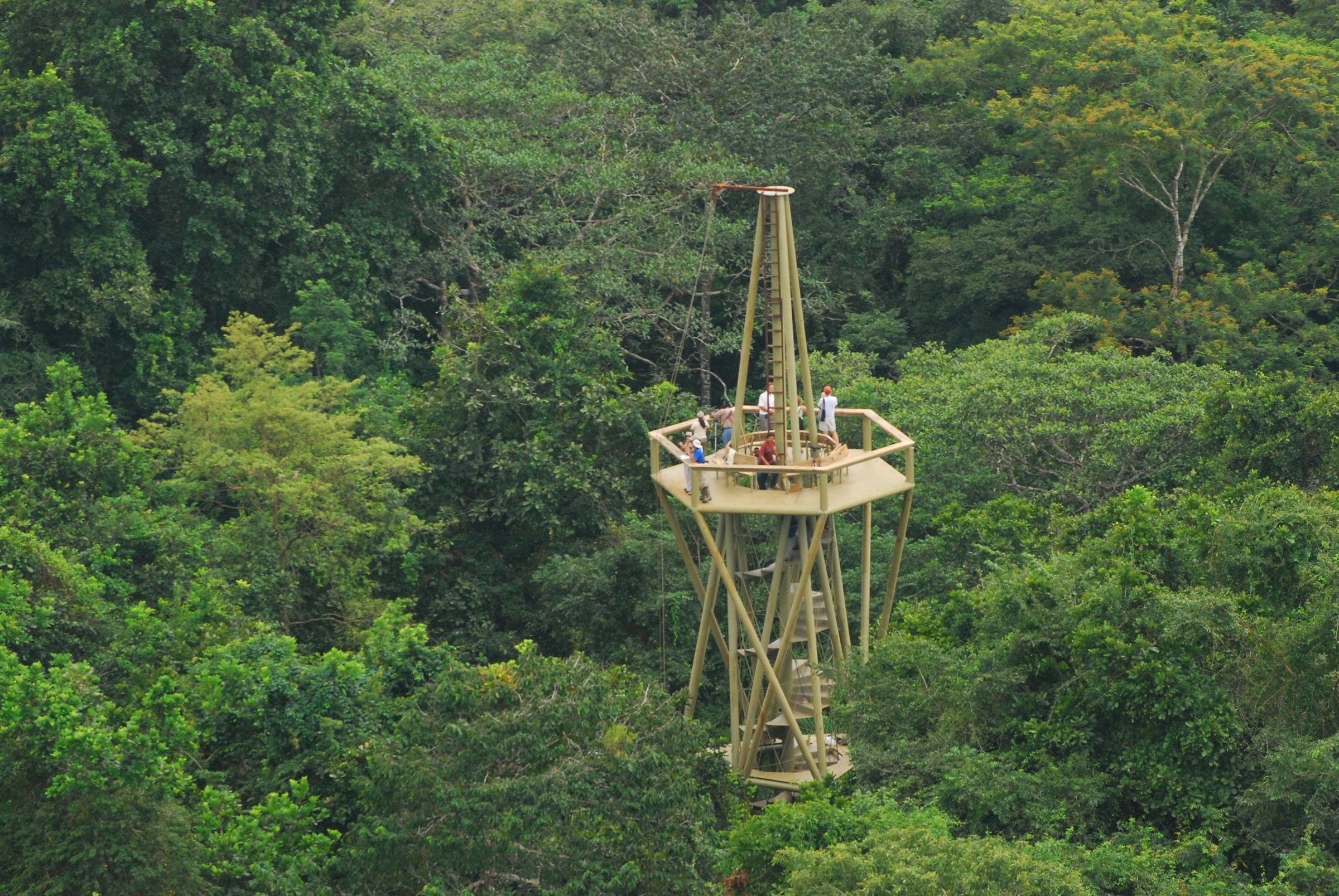 Birdwatchers Favourite Panama Rainforest Discovery Center